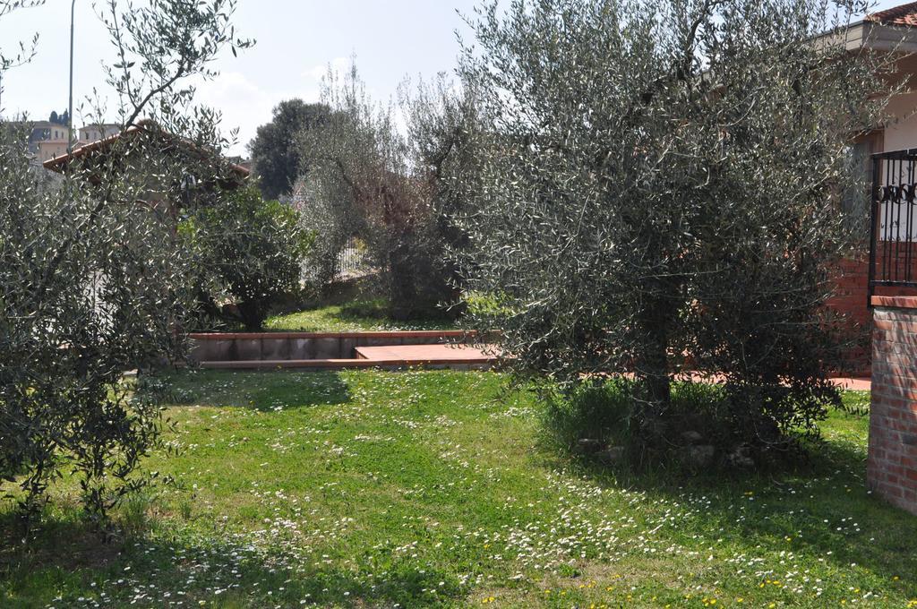 La Casina Del Canneto Pergine Valdarno Esterno foto